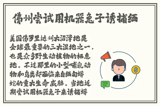 暴躁大妈荒野大镖客k9